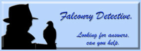 Falconry Questions