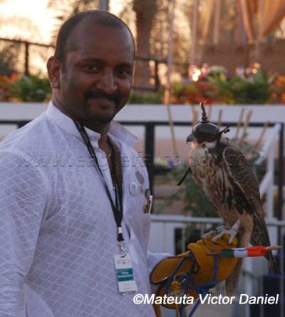 India Falconry Festival