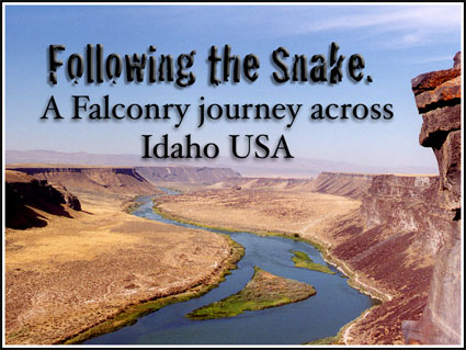 Falconry Talk, Following the Snake