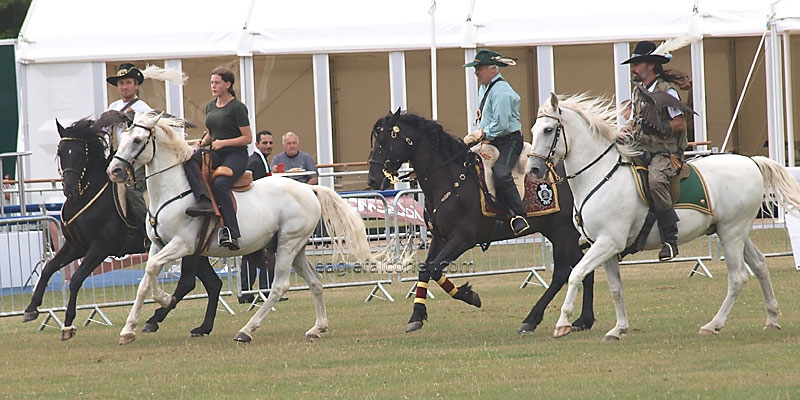Rosenburg Horses at the Festival of Falconry