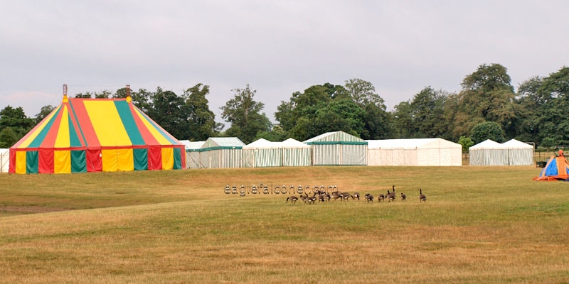 Festival of Falconry national tents