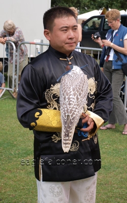Chinese falconer at the  Festival of Falconry