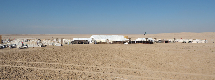 Festival of Falconry 2014 desert camp